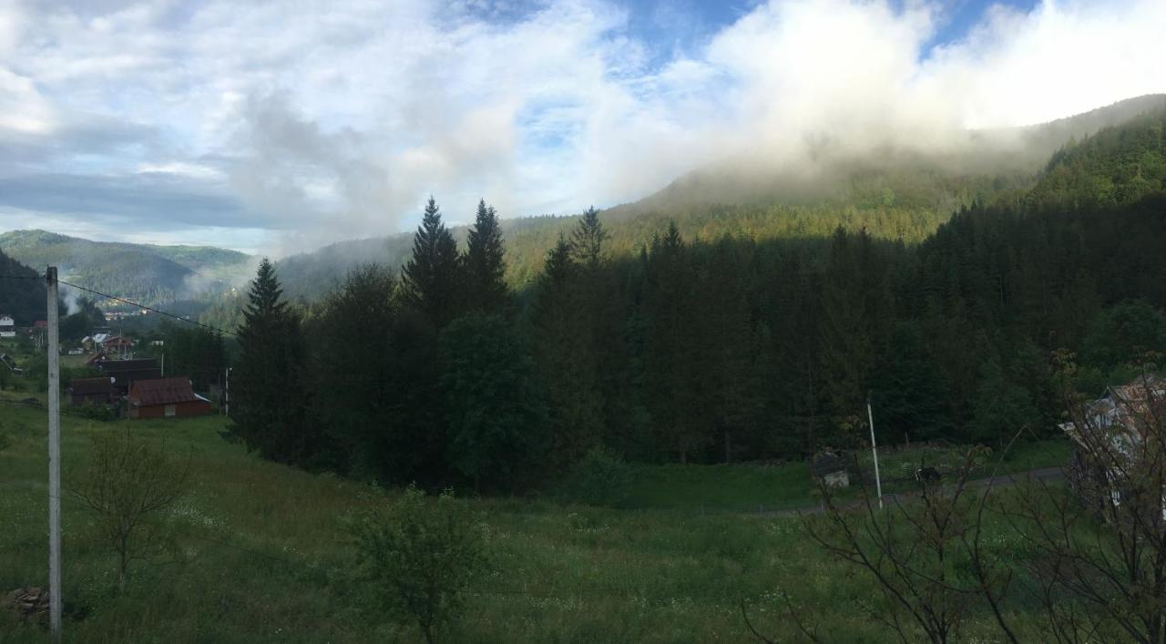 Котедж Mountain House Yaremtche Extérieur photo