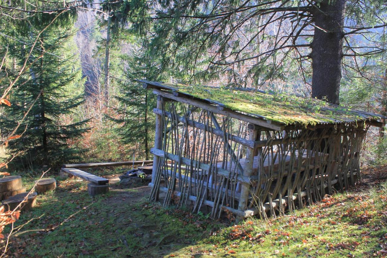 Котедж Mountain House Yaremtche Extérieur photo