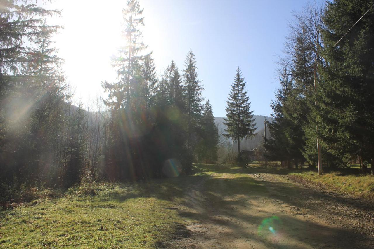 Котедж Mountain House Yaremtche Extérieur photo