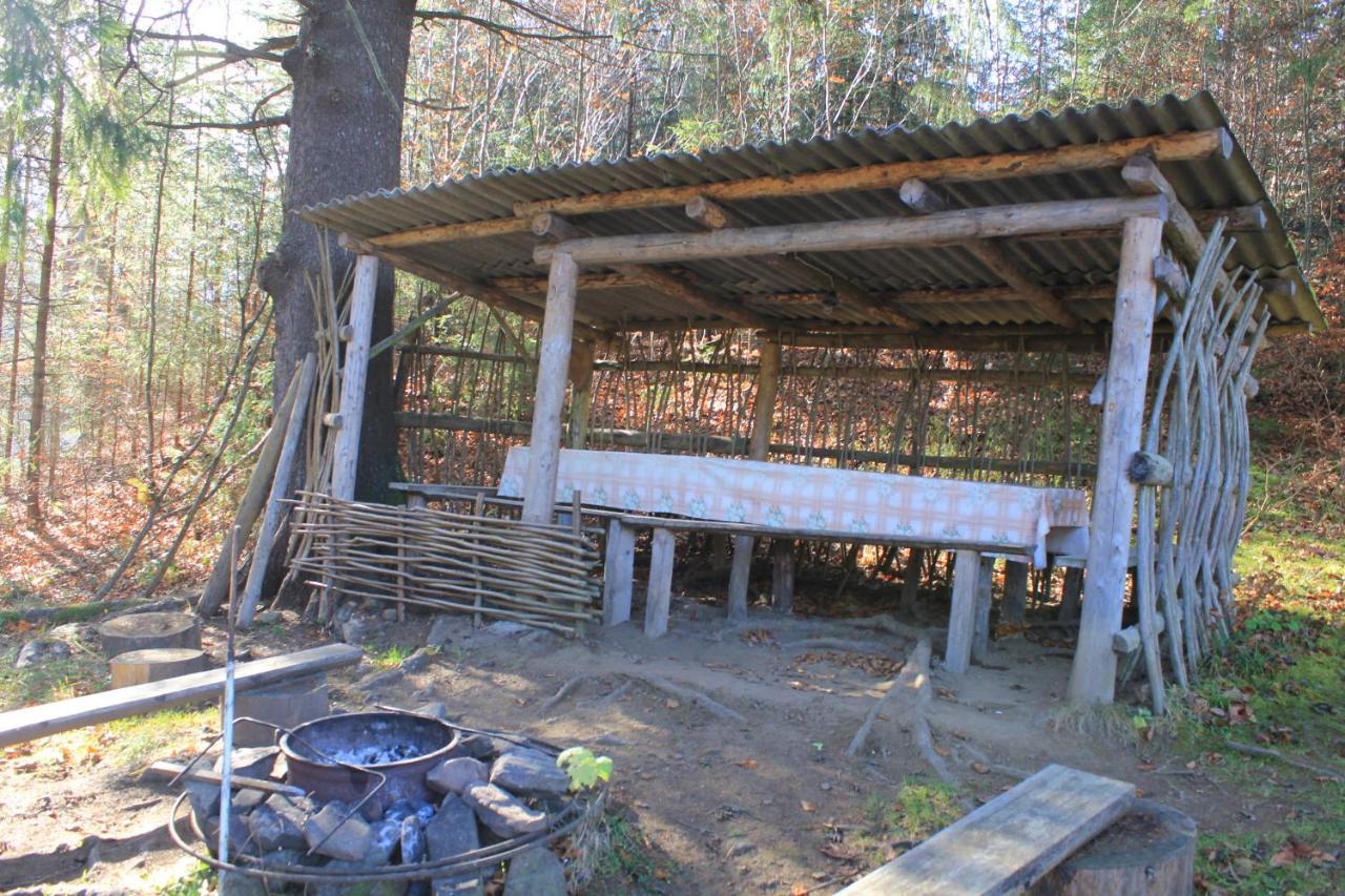 Котедж Mountain House Yaremtche Extérieur photo