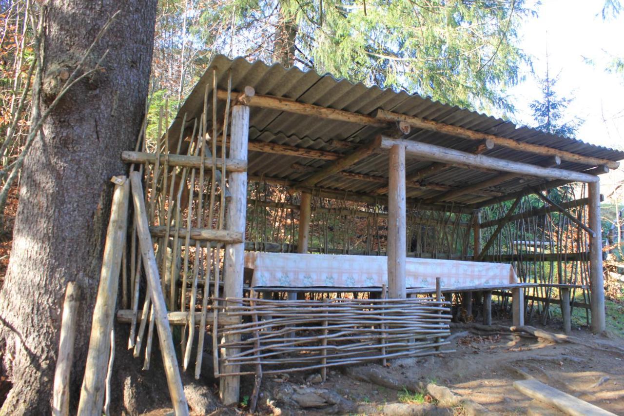 Котедж Mountain House Yaremtche Extérieur photo